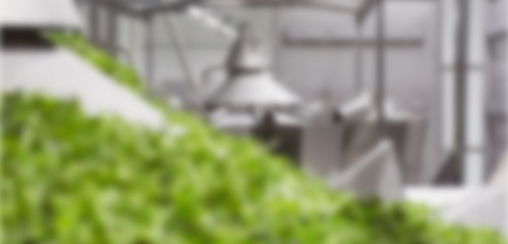 Amount of freak bread or other fruits