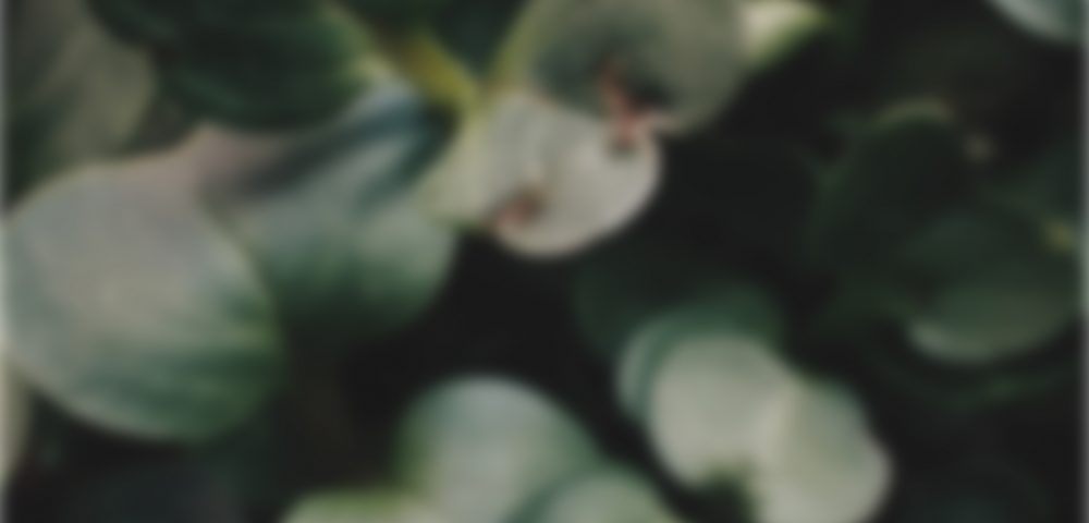 The high-tech vertical farmer