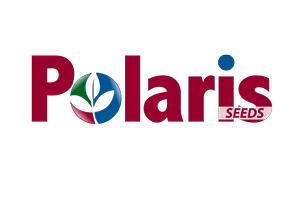PolarisWebLogo.png